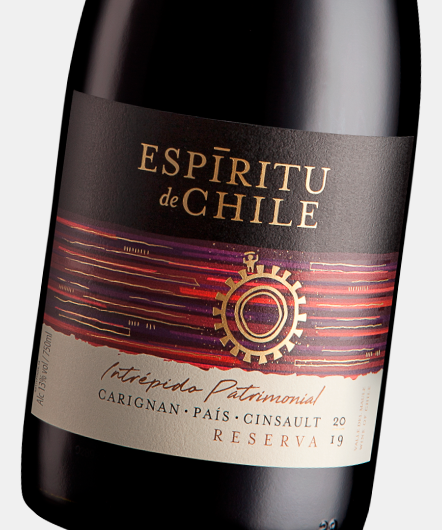 EDCH Intr Pat TINTO Close up